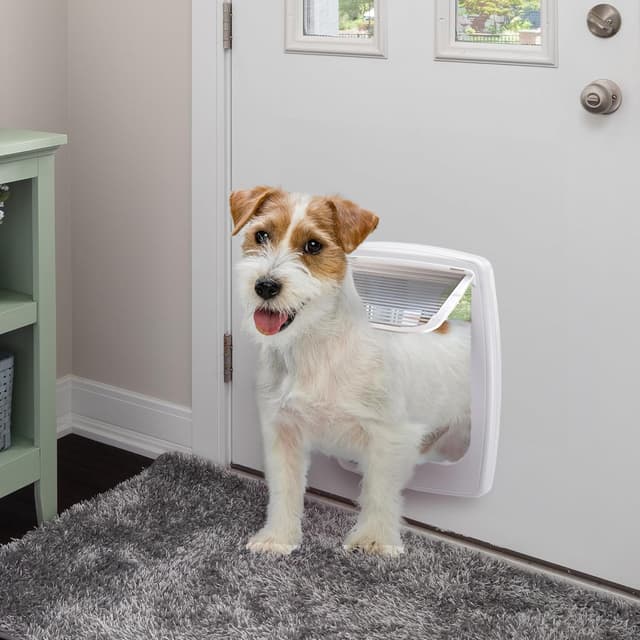 Thumbnail 3 de Ferplast SWING 11 gattaiola 21,8 x 25,5 cm 🚪