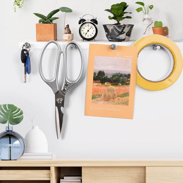 Detalle 1 de Fridge Magnets 8 Pack Neodymium 12x16mm