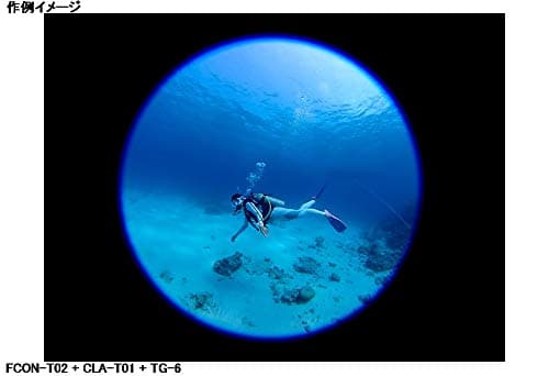 Detalle de Olympus FCON‑T02 fisheye converter for TG‑6