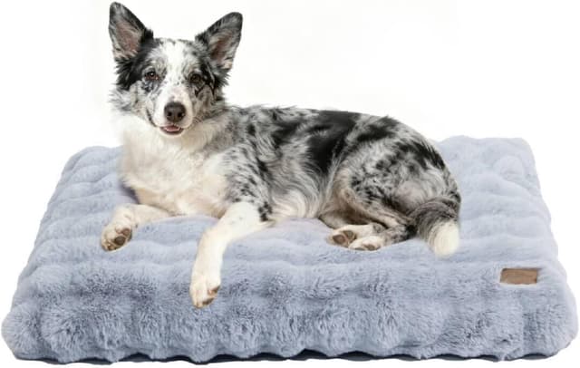 Detalle de BingoPaw Extra Large Dog Bed (105x70x12cm) Calming Crate Mattress with Washable Cover