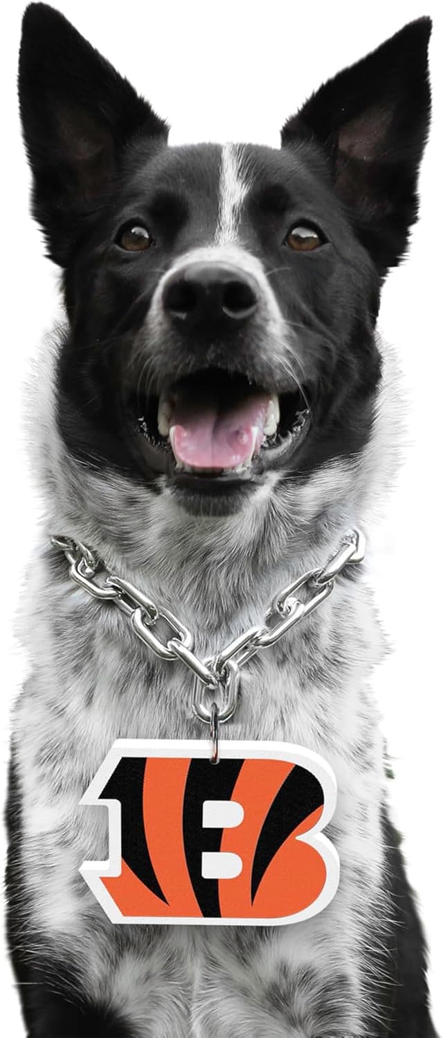 Detalle 2 de Littlearth NFL Pet Fan Chain by Little Earth Productions