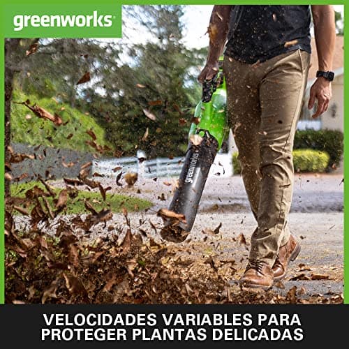 Thumbnail 4 de Greenworks GD40ABK2X Soplador de Hojas a Batería ⚡ with 2 Batteries
