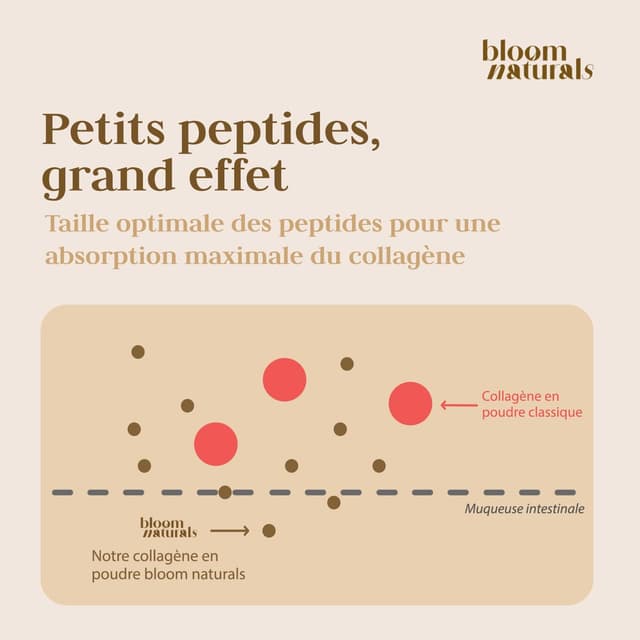 Detalle 2 de Bloom Naturals Beauty Supplements Collagène en poudre 500 g (15 g par portion) – 100% collagène hydrolysé, goût neutre – 33 portions