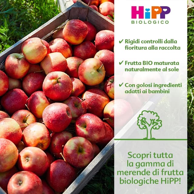 Thumbnail 2 de HiPP Omogeneizzato Frutta 24 🍎