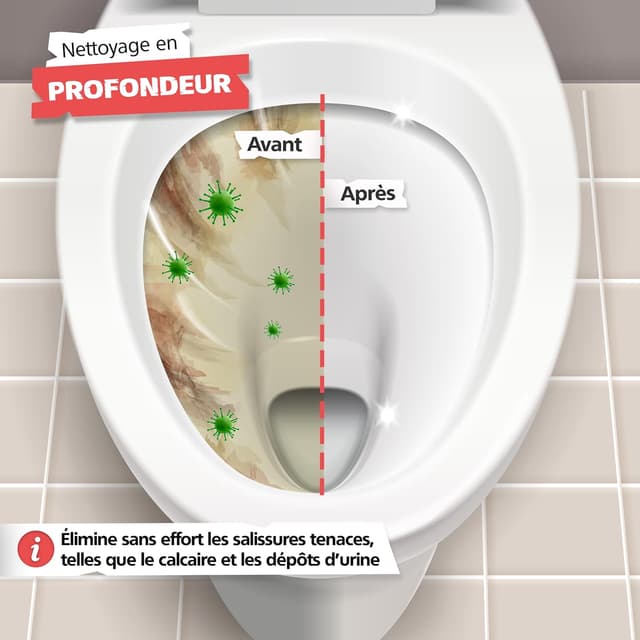 Detalle de SPRINGER ZX6000 – Lot de 3 pierres ponces pour WC, pierre naturelle sans produits chimiques