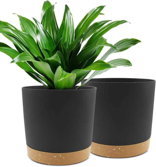 Detalle de QCQHDU 25.4cm plant pots, 2 pack