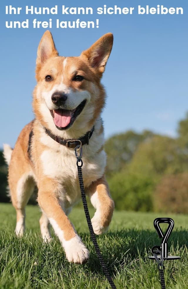 Thumbnail 5 de Bodenanker Hund Pro Erdanker 100 kg Hund