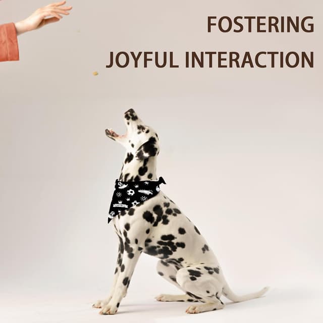 Detalle de Shaeotek 2-pack Soccer Dog Bandanas (Black & White Triangle)