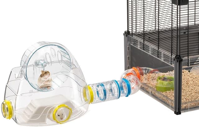 Thumbnail 2 de Ferplast Set Tubi Criceto 4 pezzi — Gym e Tunnel per criceti 🐹