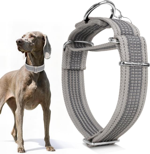 Detalle 1 de Dazzber 1.5" Martingale Dog Collar (Escape-Proof, Anti-Slip) in Olive Green & Charcoal, Large