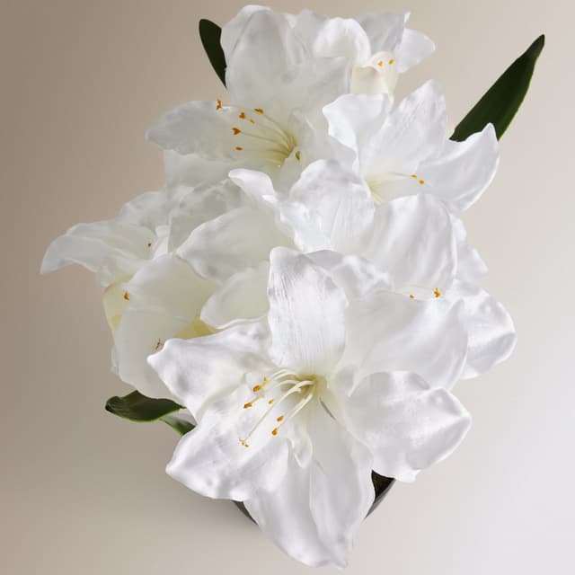 Thumbnail 1 de El Corte Inglés Planta artificial Amarilis 60 cm