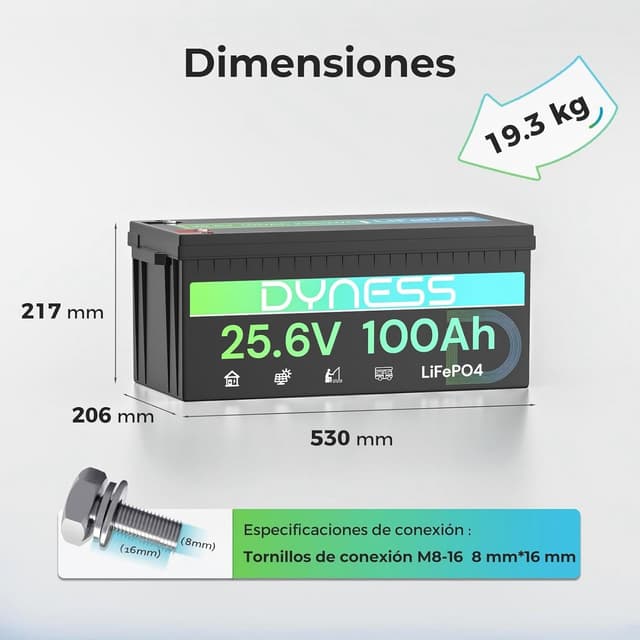 Detalle 2 de Dyness Batería Litio 24V 100Ah LiFePO4 con BMS 100A