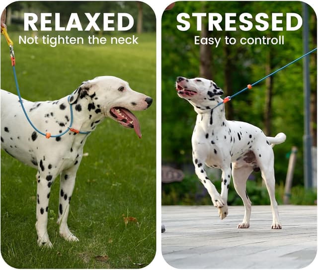 Detalle 2 de Howgo Dog Slip Lead (No-Pull Training Leash) with Padded Handles, 5.5FT, Black