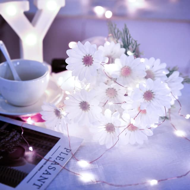 Detalle 2 de FFZZKJ Solar Fairy Lights Outdoor Garden Lights Waterproof – 100 LED 10m with 8 Lighting Modes (Cold White)