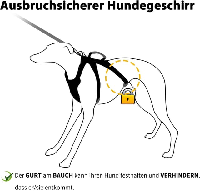 Detalle de Huntboo Sicherheitsgeschirr für Hunde (Ausbruchsicher, reflektierend) – Schwarz, XS