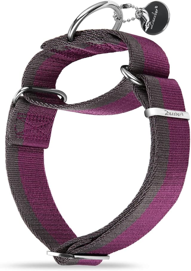 Detalle de Dazzber Martingale Collar (Extra Strong Nylon, 1 1/2 Inch Wide) for Medium to XLarge Dogs – Purplish Red & Grey