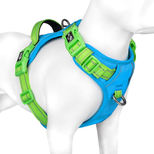 Detalle de PHOEPET Dog Harness No Pull – Escape Proof adjustable reflective vest with front training clip, padded control handle (Blue/Green, S)
