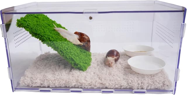Detalle 2 de Jinymral Snail Terrarium Kit with Climbing Wall
