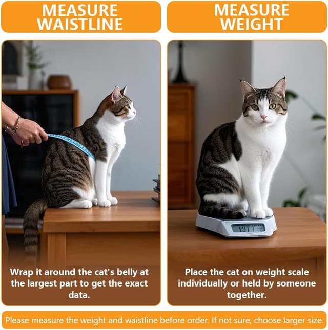 Thumbnail 4 de Ycozy XL Puerta para Gatos 27.8x25 cm