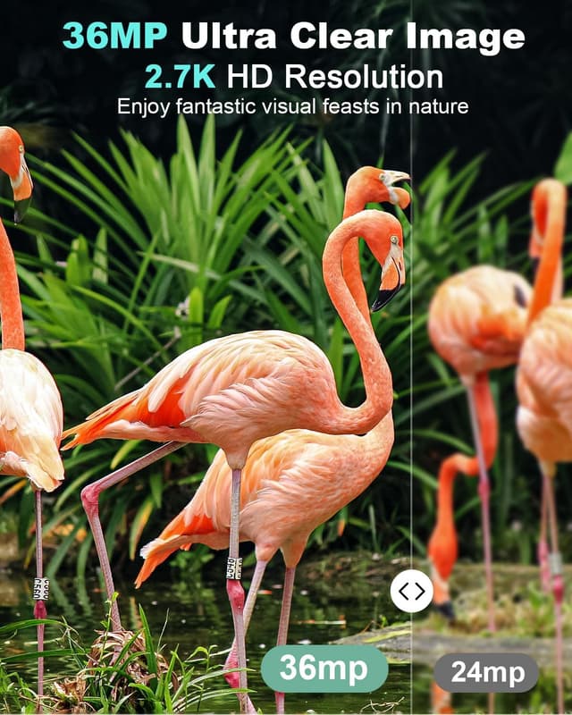 Thumbnail 5 de KJK Trail Camera 36MP 2.7K