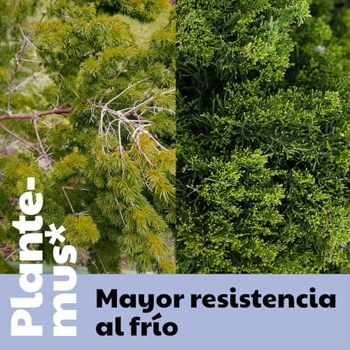 Thumbnail 2 de PLANTEMUS Abono Cítricos y Olivos 5,5 kg