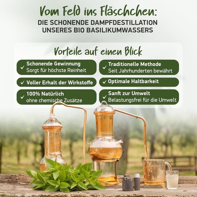 Thumbnail 6 de Basilikumwasser (Hydrolat) von Soena Naturals – Haarkur für dünnes, brüchiges Haar, 200 ml, bio-zertifiziert