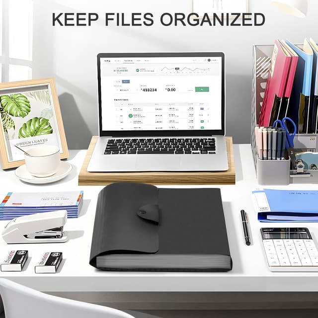 Detalle 2 de Diboniur A4 Accordion File Organiser with 13 Pockets (Black)