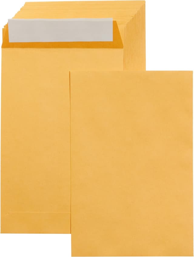 Detalle de Amazon Basics 6 x 9 Catalog Mailers, 100 pack ✉