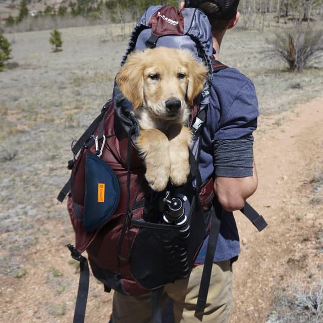 Detalle 2 de LumoLeaf Collapsible Dog Travel Bowls (Large) – Lightweight foldable food & water bowls with zipper and carabiner