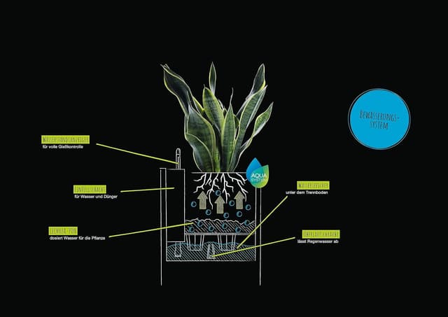 Thumbnail 4 de Lechuza Canto Color 30x30x30cm Komplettset graphitschwarz