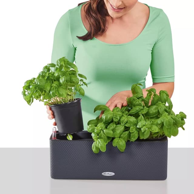 Thumbnail 5 de LECHUZA CUBE Triple Grigio Ardesia 13684