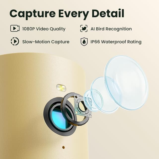 Detalle 1 de Birdfy Smart Wooden Bird Feeder Camera