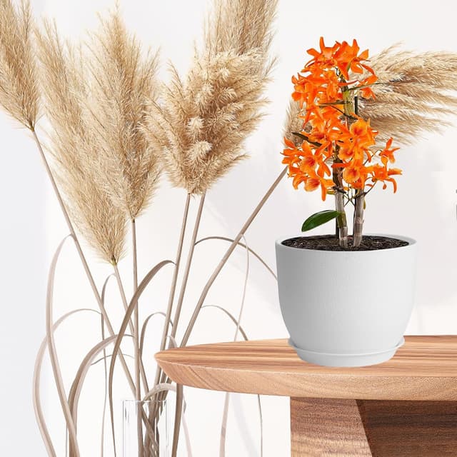 Detalle de PROFIKLA plant pot set 16, 18, 20cm