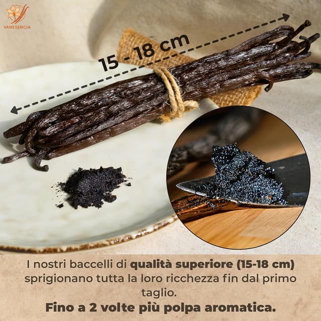Thumbnail 1 de VANESENCIA Vaniglia Bourbon del Madagascar 7 bacche 13–17 cm