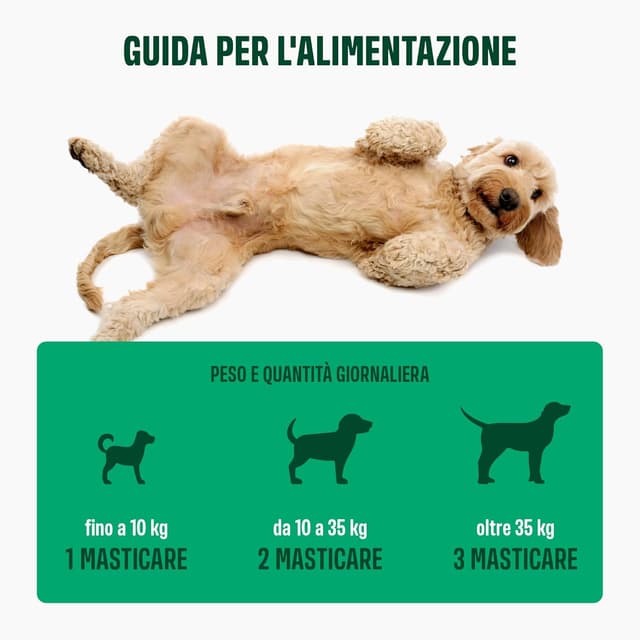 Detalle de ivvi PROBIOTIC per cani in forma di bocconcino con burro di arachidi – 60 snack per flora intestinale e digestione