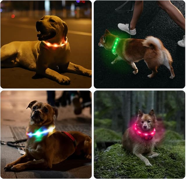 Thumbnail 6 de Nepfaivy Leuchthalsband Hund 70 cm