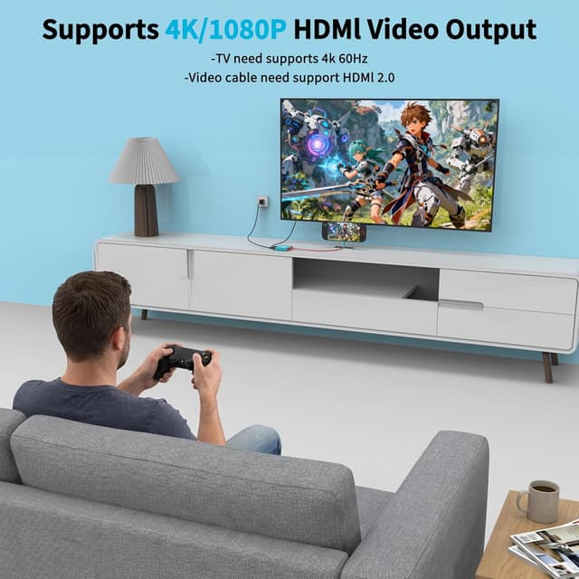 Detalle de Reddening Switch 2 Dock 4K/60Hz 100W