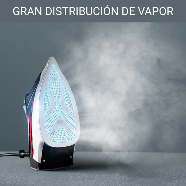 Detalle 1 de Rowenta Pro Master DW821 2800 W