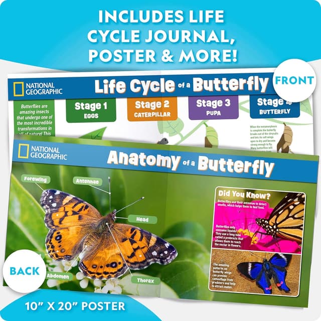 Thumbnail 6 de National Geographic Ultimate Butterfly Growing Kit 5 caterpillars