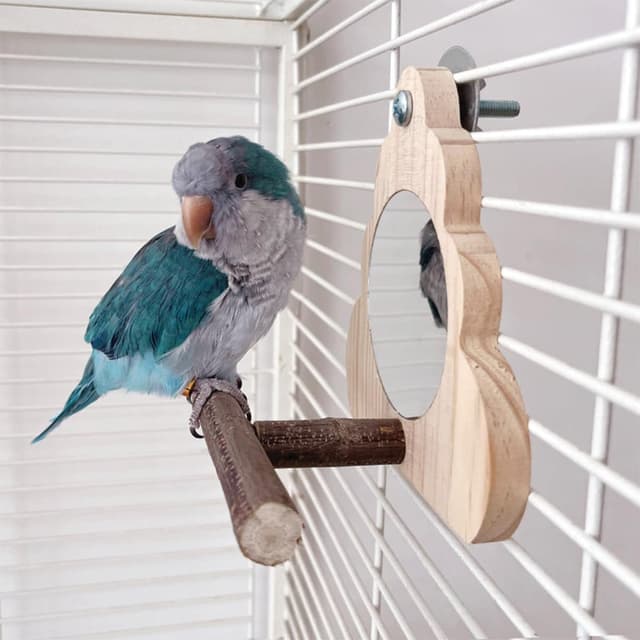 Thumbnail 2 de ZYYRSS Small Bird Mirror Parrot Swing