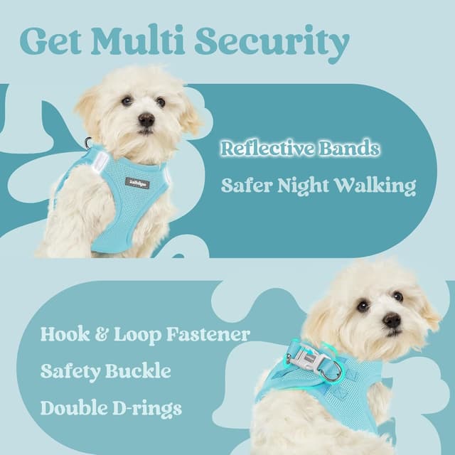 Thumbnail 6 de rabbitgoo Dog Harness Small Dog Step-in Soft Mesh Puppy Harness (Mint Blue, S)