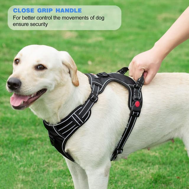 Thumbnail 4 de No Pull Dog Harness Adjustable Reflective 5ft Leash