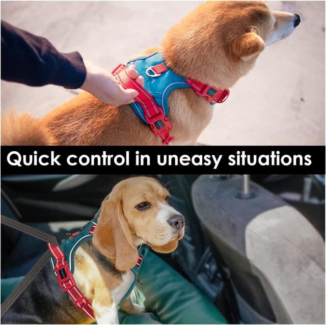 Detalle de PHOEPET No Pull Dog Harness with Escape Proof Adjustable Vest, Reflective, Teal Base & Red Straps (Size M)