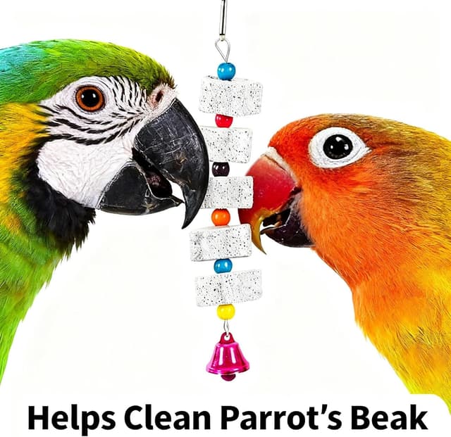 Thumbnail 5 de Zhouocea 2 Pcs Cuttlefish Bone Bird Toy