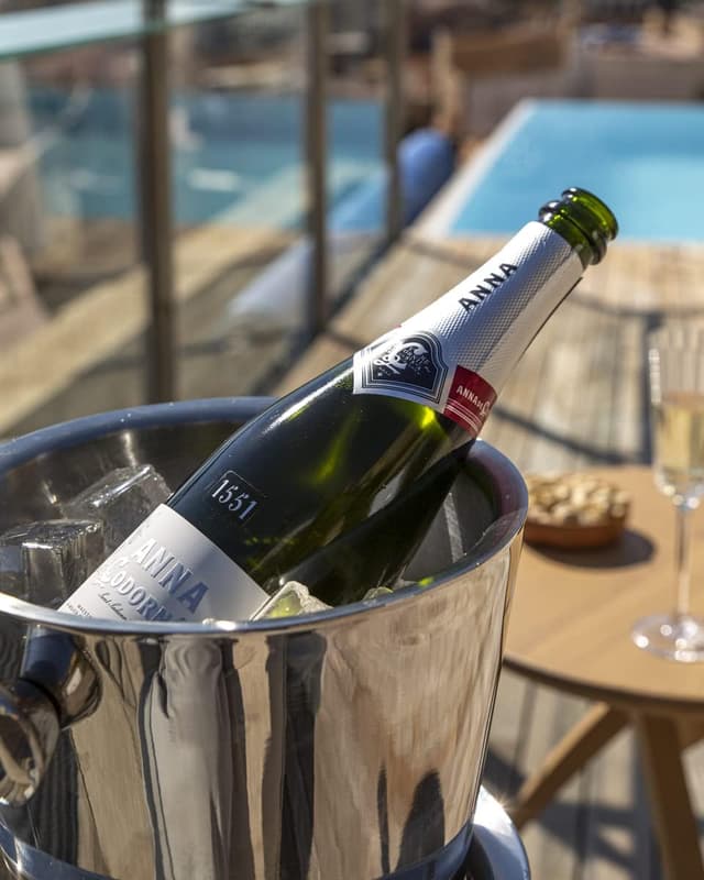 Thumbnail 2 de ANNA DE CODORNIU - Cava Brut Nature - Elegancia en cada burbuja 🥂