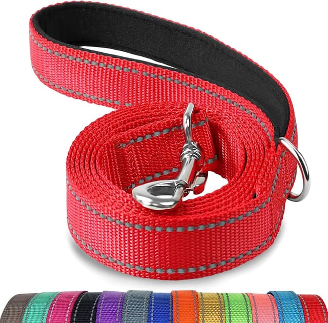 Detalle de Joytale Padded Handle Dog Lead 1.2m