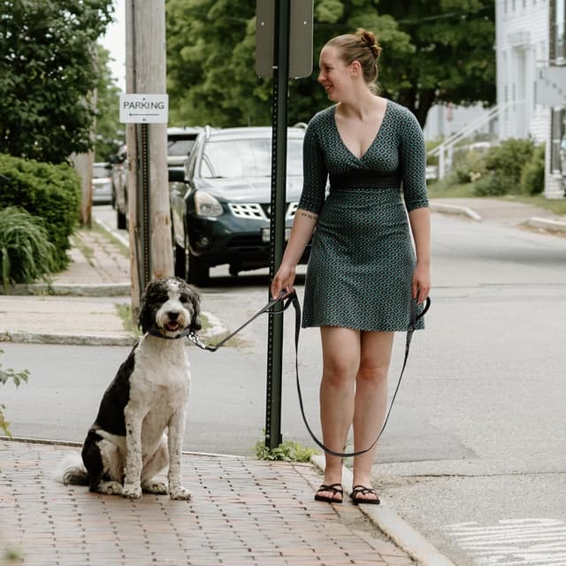 Detalle 2 de Heavy Duty dog lead with traffic handle