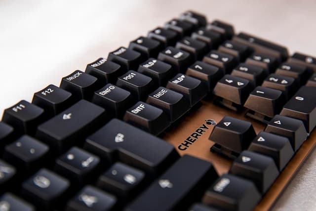 Detalle 2 de Cherry KC 200 MX clavier mécanique 200