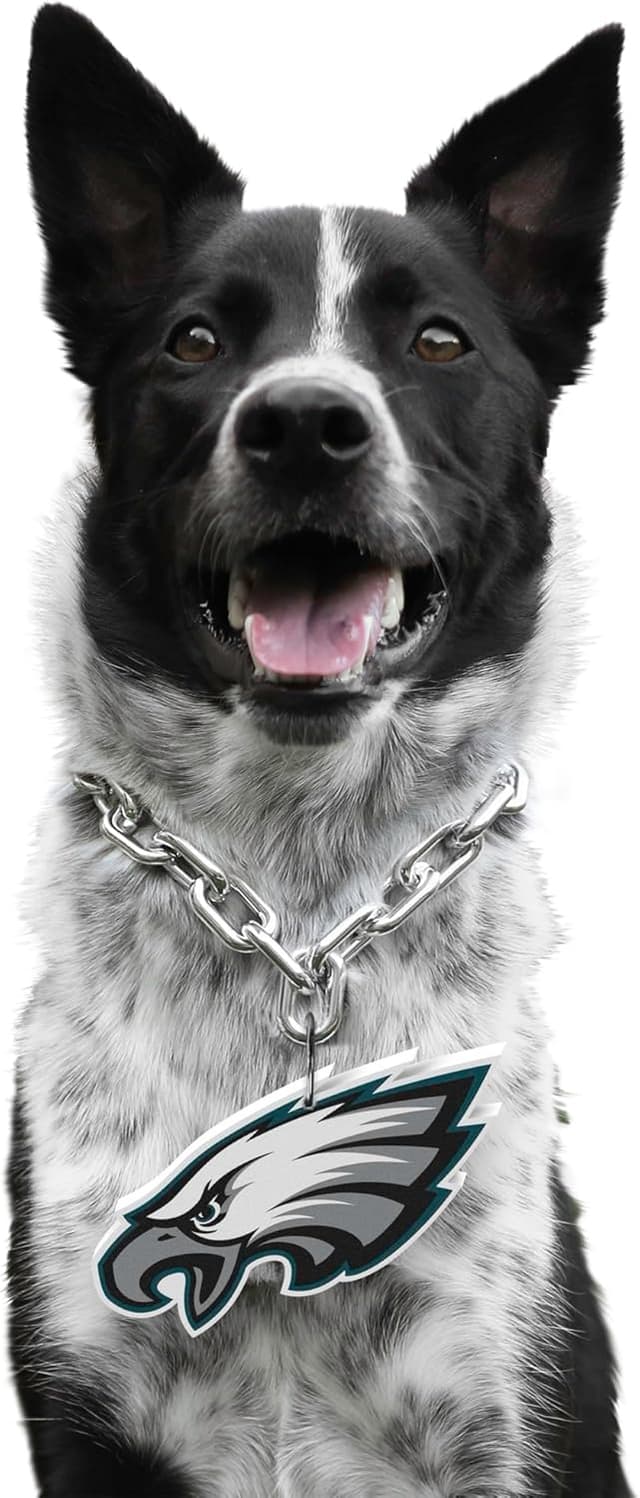 Detalle de Littlearth NFL Pet Fan Chain by Little Earth Productions