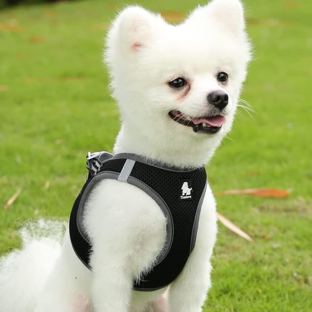 Detalle 2 de Truelove True Love Soft Air Mesh Dog Harness (X-Small) with Reflective Details, Black